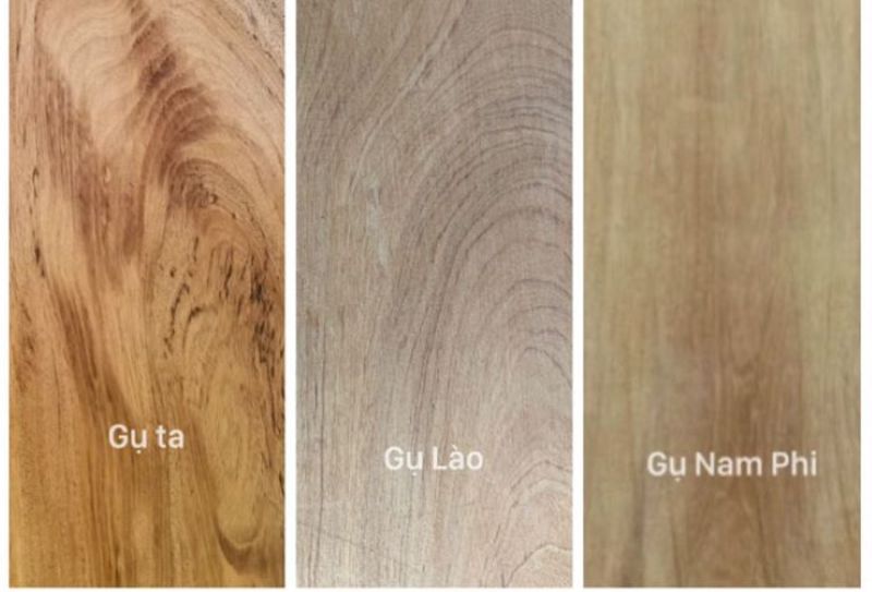 Dùng gỗ gụ làm bàn thờ có tốt không? Phân loại gỗ gụ khi chọn bàn thờ